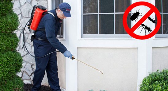 Yeşilhisar Tahtakurusu İlaçlama böcek ilaçlama ve haşere kontrolü — ilaclama-tr.com